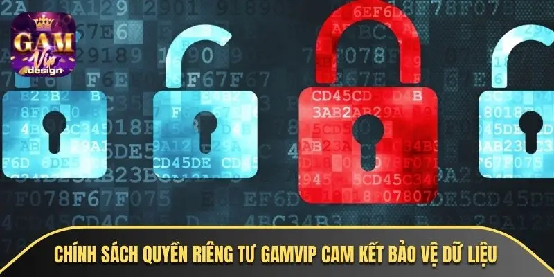 Chính sách quyền riêng tư GAMVIP cam kết bảo vệ dữ liệu