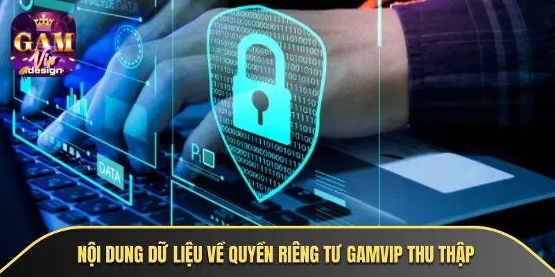 Nội dung dữ liệu về quyền riêng tư GAMVIP thu thập