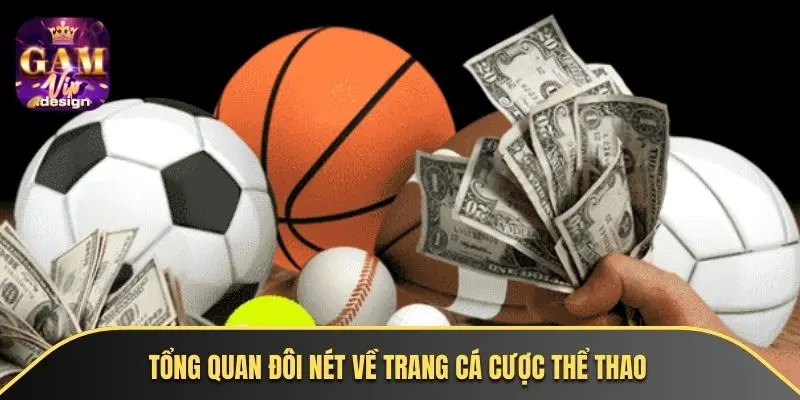Tổng quan đôi nét về trang cá cược thể thao