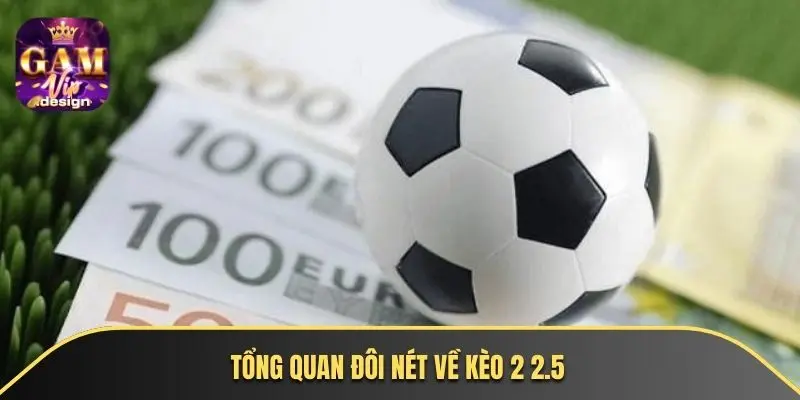 Tổng quan đôi nét về kèo 2 2.5
